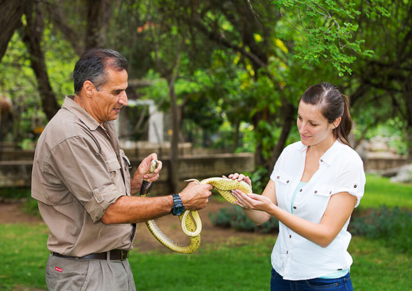 Hoedspruit Reptile Centre - A Slithery, Scaly Encounter