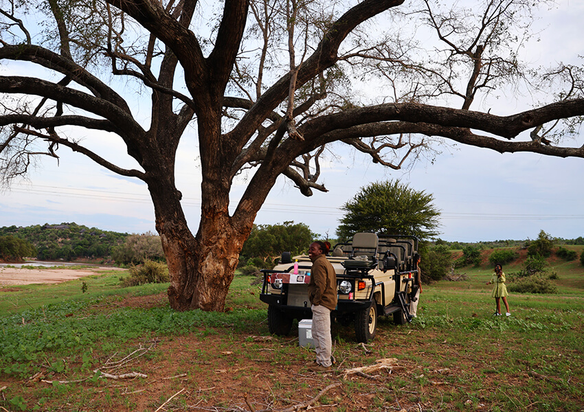 Our Roots, Your Retreat