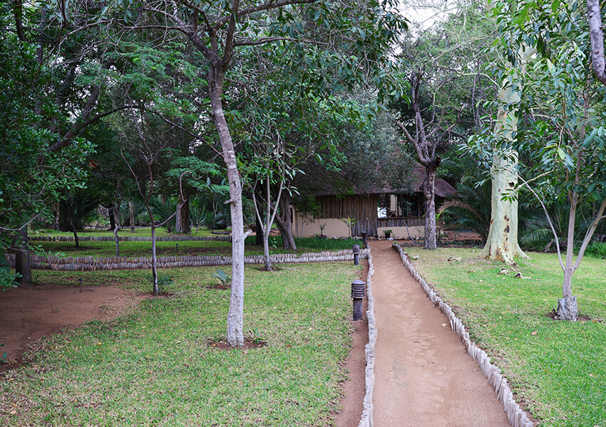 Small Lodge, Personal Experience - Greater Kruger Safari Accommodation