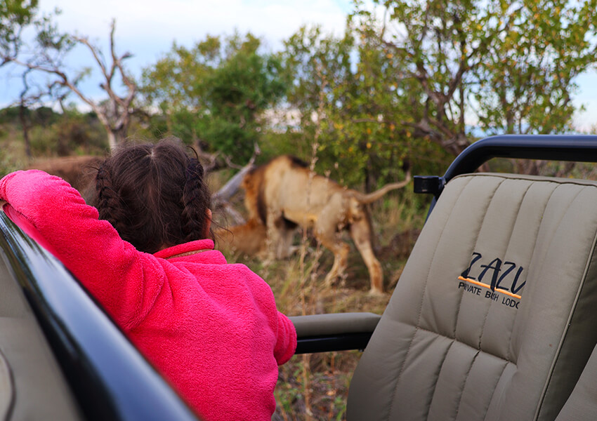 For First-Timers and Seasoned Safari-Goers Alike