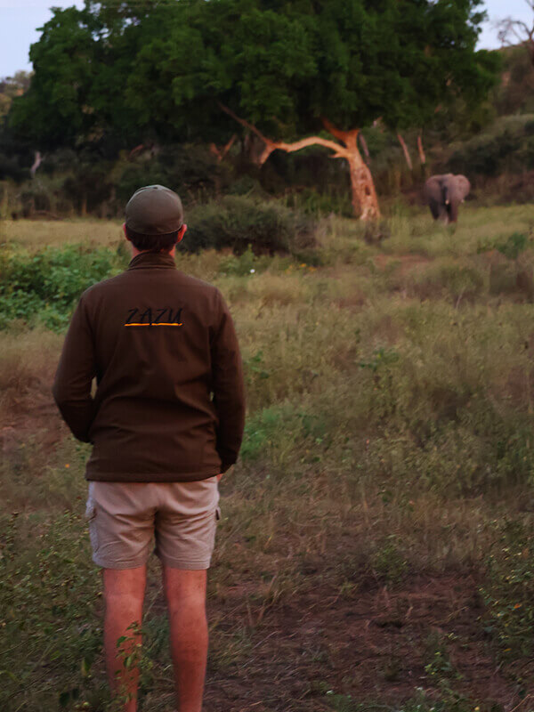 Guided Nature Walks - Experiences In The Greater Kruger