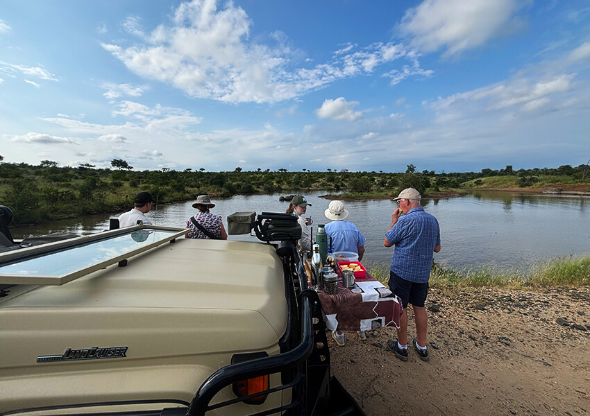 Safe, Comfortable, and Intimate Big 5 Game Drives In The Greater Kruger