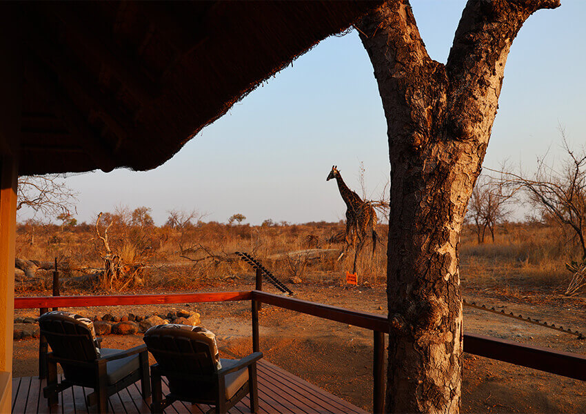 Maroela Chalet